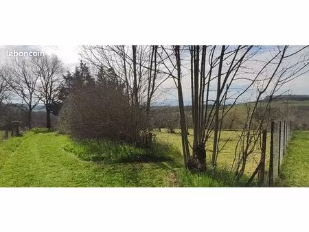 terrain constructible