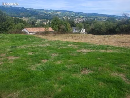 terrain constructible – 2 740 m² à saint-amans-soult (81240)