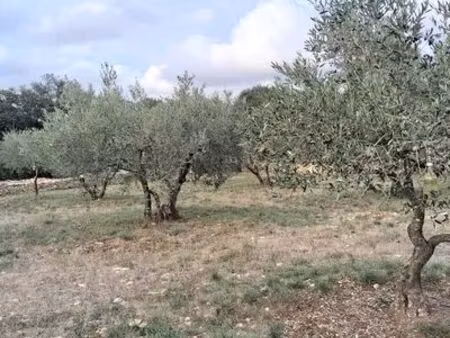 terrain loisirs/agricole