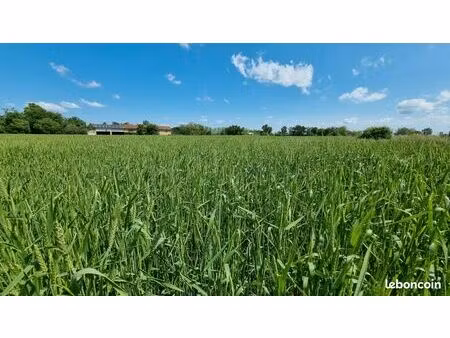 recherche terres agricoles