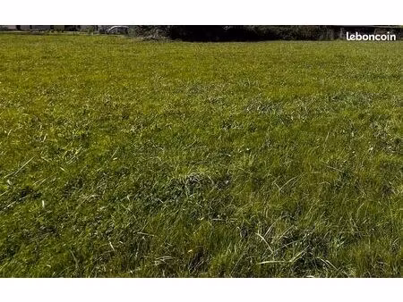 terrain 2 500 m² jugeals nazareth