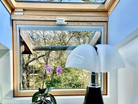 gd t5 lumineux  cœur de ville  au calme