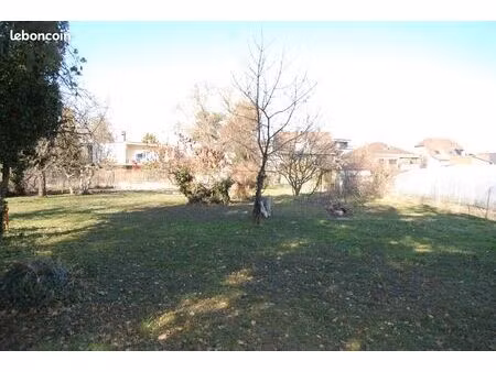 colmar quartier maraîcher exclusivité  beau terrain de plus de 9 ares