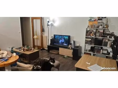 appartement 3 pièces 66m2