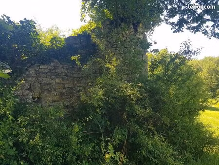 terrain de 22 hectares avec ruine de pierre