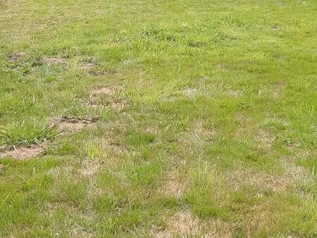 terrain constructible