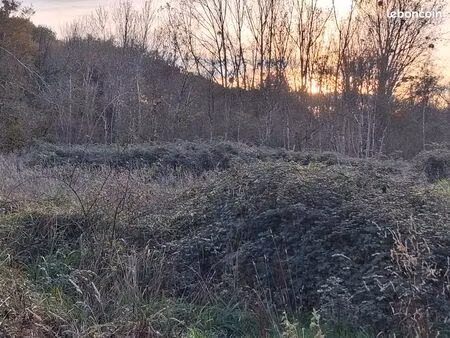 foncier bordure de vonne