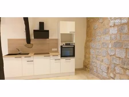 studio de 36 m² avec jardin et garage - castelnau-barbarens