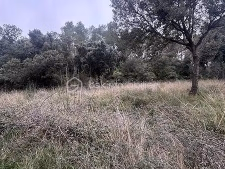 terrain 26 435 m² liausson