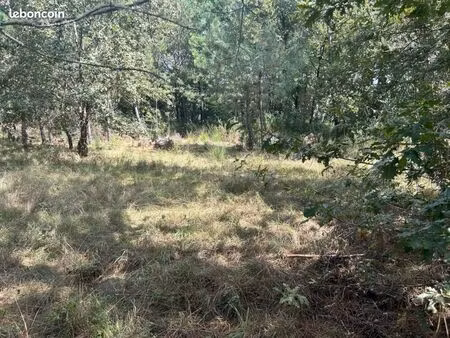 terrain 2 800 m² mezos