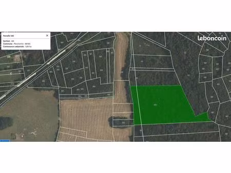 taillis - parcelle ak 542 pleumartin