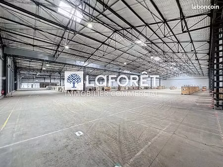 entrepôt 7847 m² bressuire