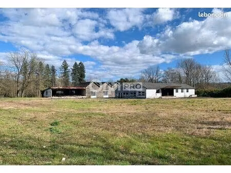 local d'activité 600 m²