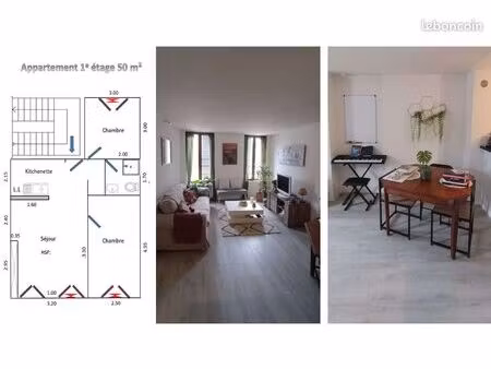 appartement 50m2 meublé château renard