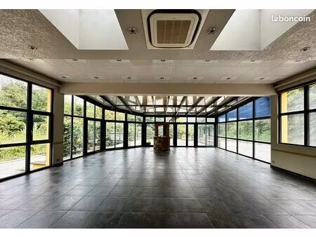 murs restaurant et appartement - 552 m2 - kaysersberg vignoble