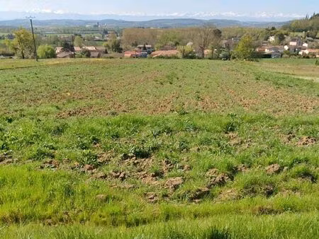 très beau terrain cintegabelle 31550