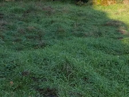 terrain 335 m² la teste de buch