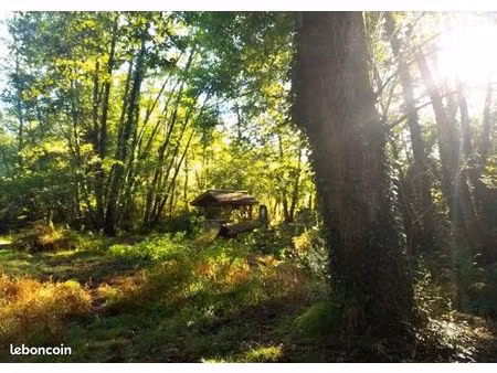 projet agroforestier~ cherche forêt 5ha alentours mimizan