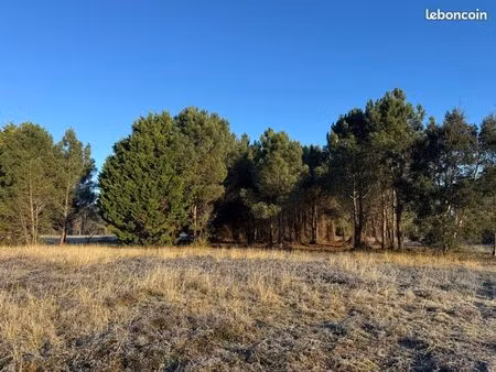 seignosse bourg: terrain de 8926m2