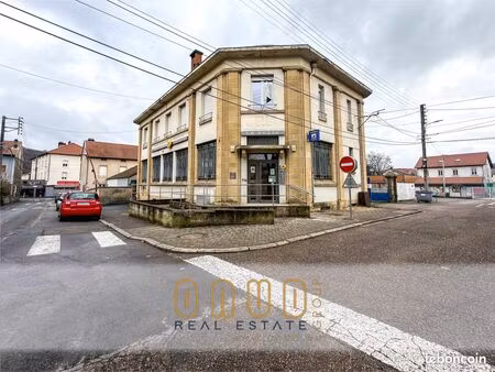 grand appartement au centre ville avec jardin et parking