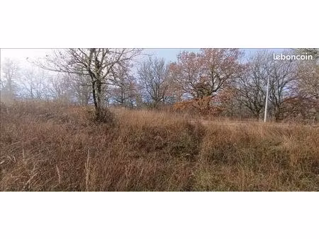 terrain 2 391 m² albas