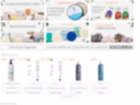 site e-commerce bon seo