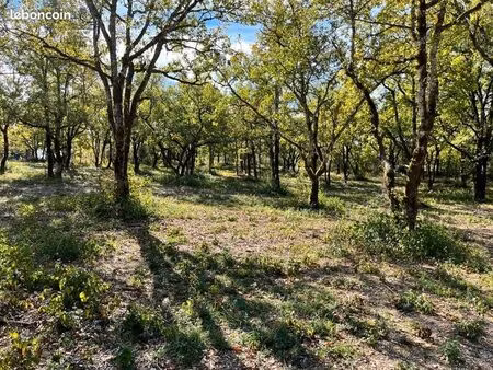 terrain 1 327 m² lalbenque