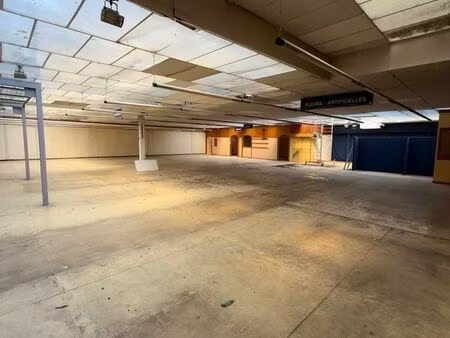 local 1.000m² - commerce/stockage - st-sever