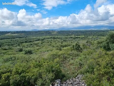 terrain garrigue gabian