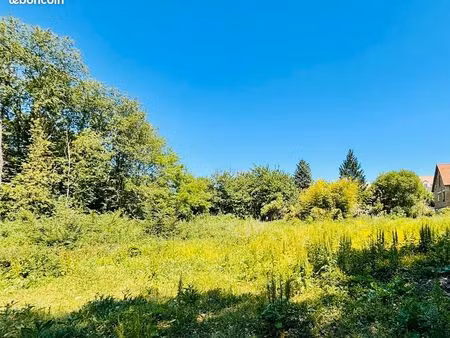 terrain constructible