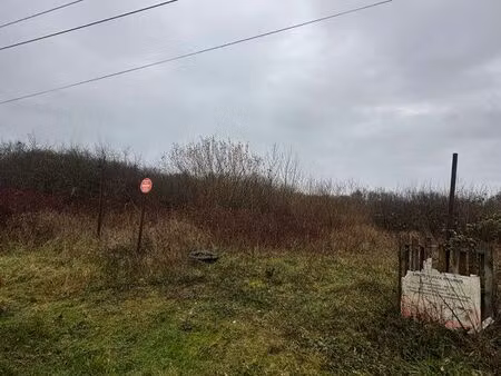 terrain 5000 m2 à mmer