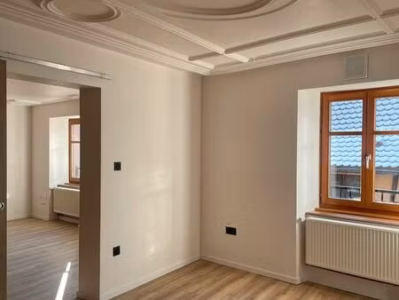 chaleureux appartement refait à neuf