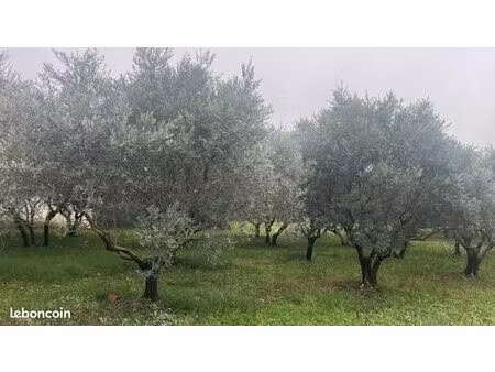 maison 80 m² malemort du comtat