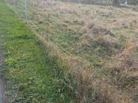 terrain 1000 mètres