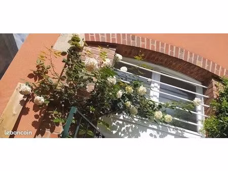 duplex avec terrasse