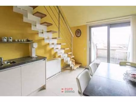 appartement très cosy à hof ter beke