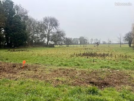 terrain 1403 m² ligne