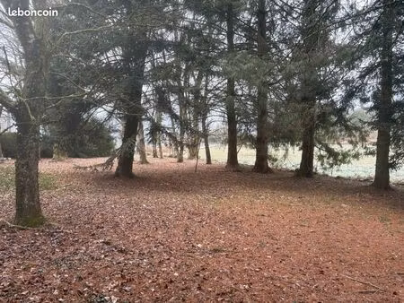 terrain constructible