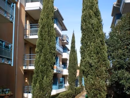 beau t2 sur st cyprien  refait à neuf avec piscine