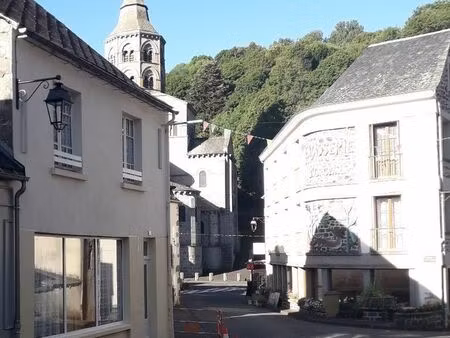 maison 7 pièces - 110 m² dans orcival