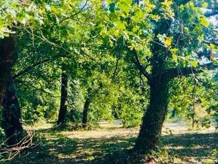 terrain constructible