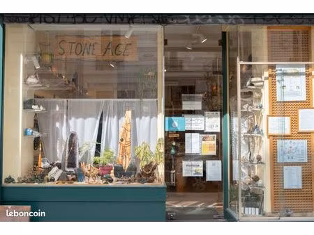 vente de magasin de pierres et minéraux