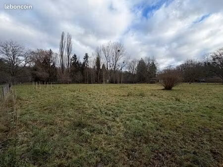 terrain idéal chevaux / poneys / moutons