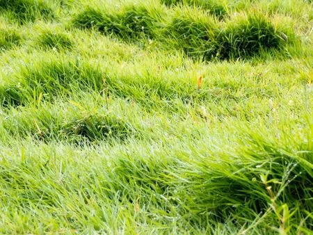 terrain 1024 m² st georges des groseiller