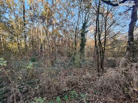 terrain 2 640 m² auty