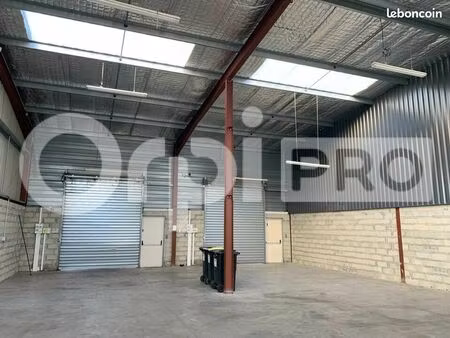 local d'activité 274 m²