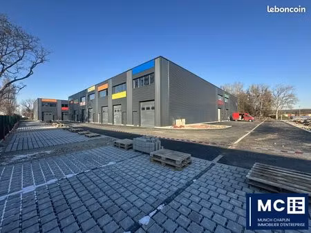 local d'activite 349 m² bischheim