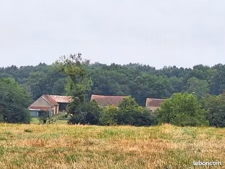 propriété en sologne (41) d’environ 75 hectares df-1149-s