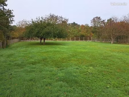 terrain 1433 m² change