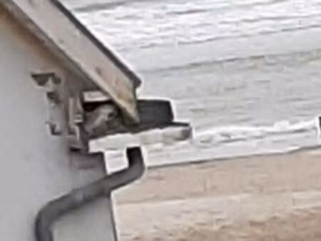 appartement fort-mahon